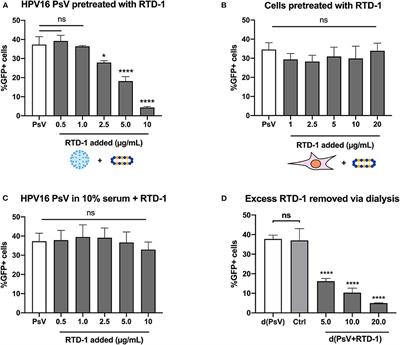 Theta-Defensins Inhibit High-Risk Human Papillomavirus Infection Through Charge-Driven Capsid Clustering